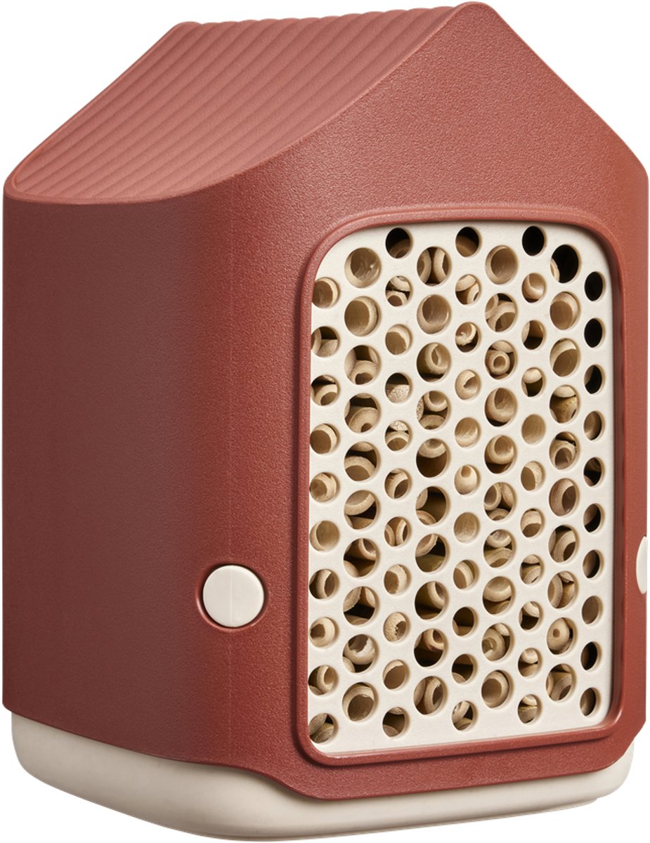 8711904555481