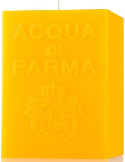 8028713004193