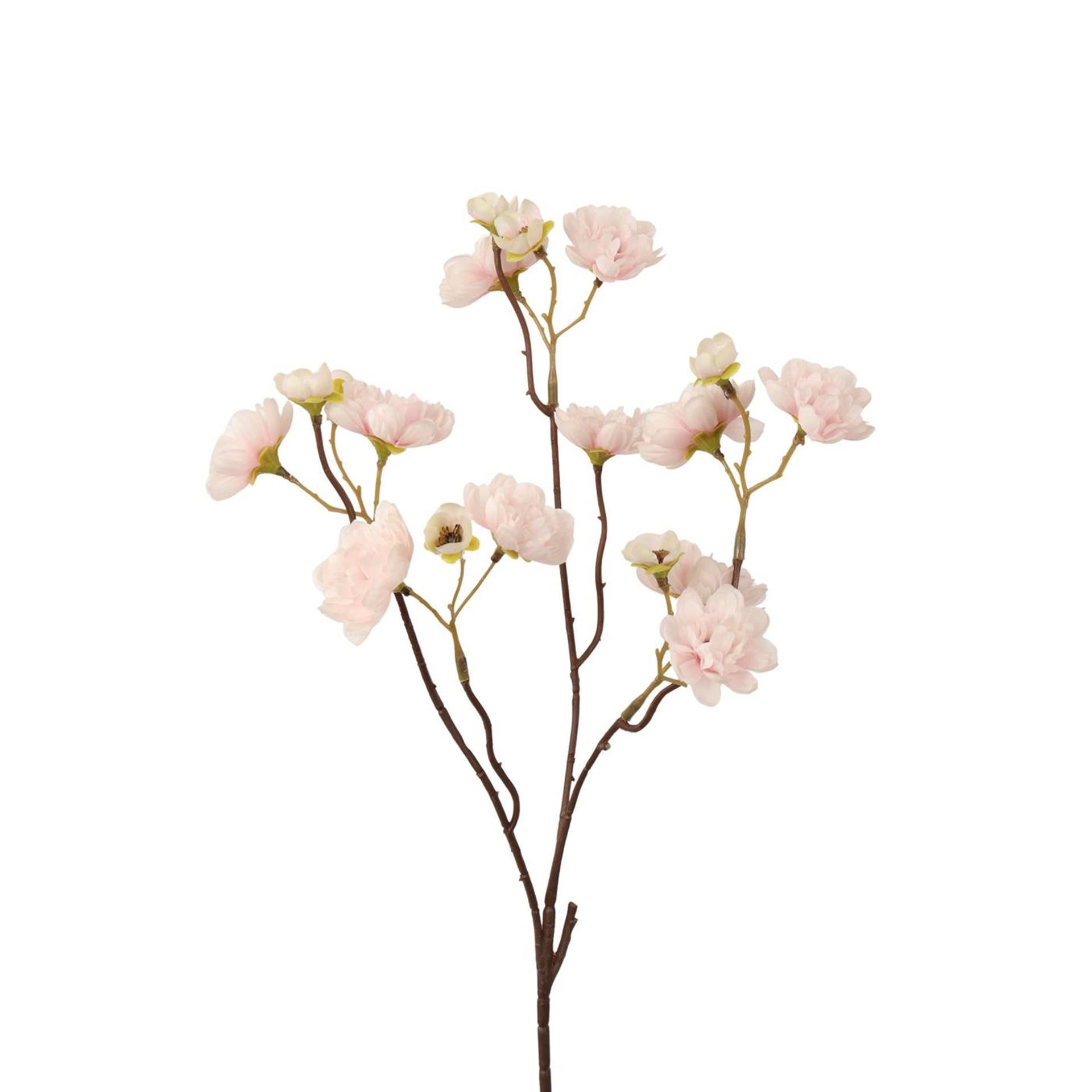 Roberts Collection künstlicher Zweig sonnige Blüte weiß rosa 50 cm