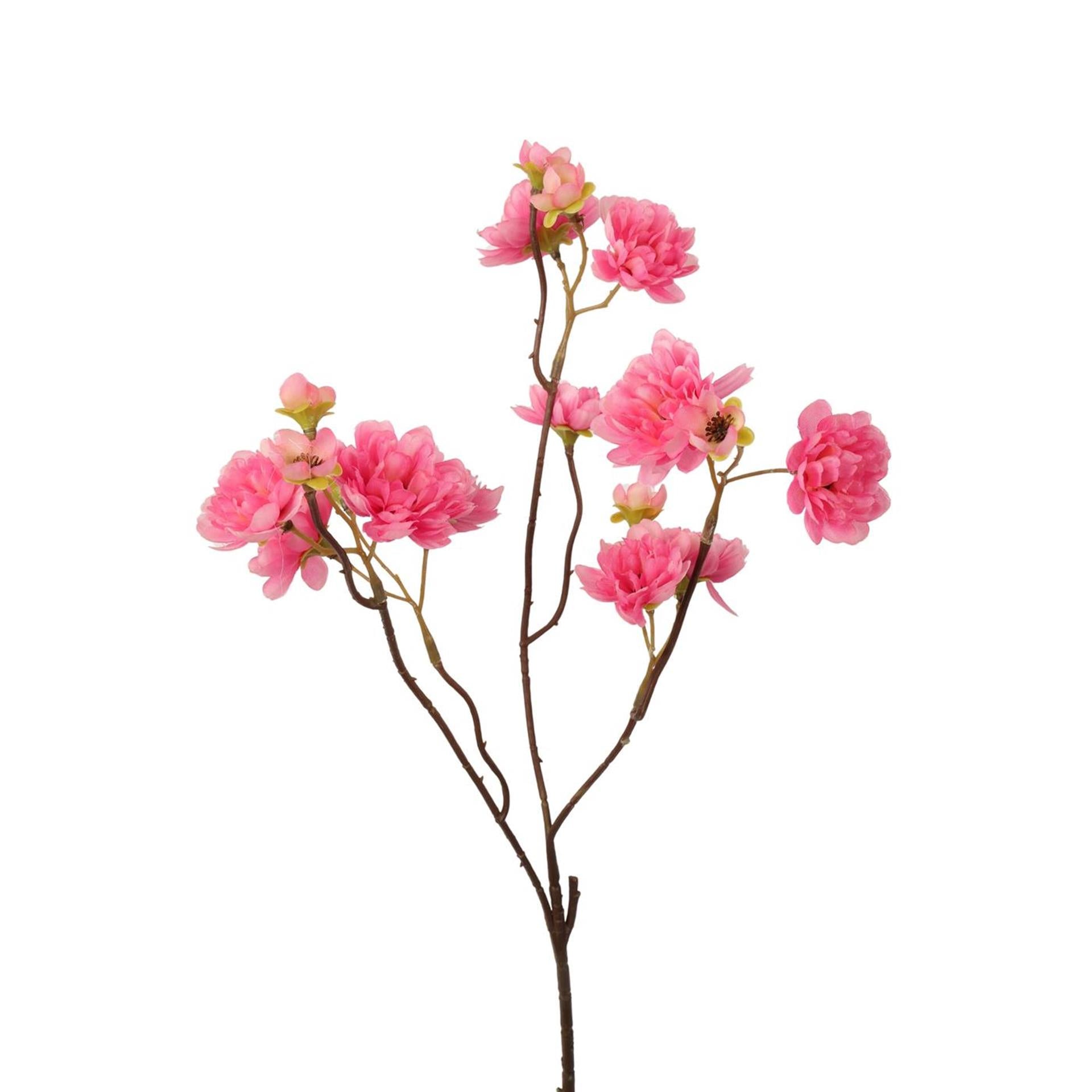 Roberts Collection künstlicher Zweig sonnige Blüte rosa 50 cm