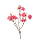 Roberts Collection künstlicher Zweig sonnige Blüte rosa 50 cm