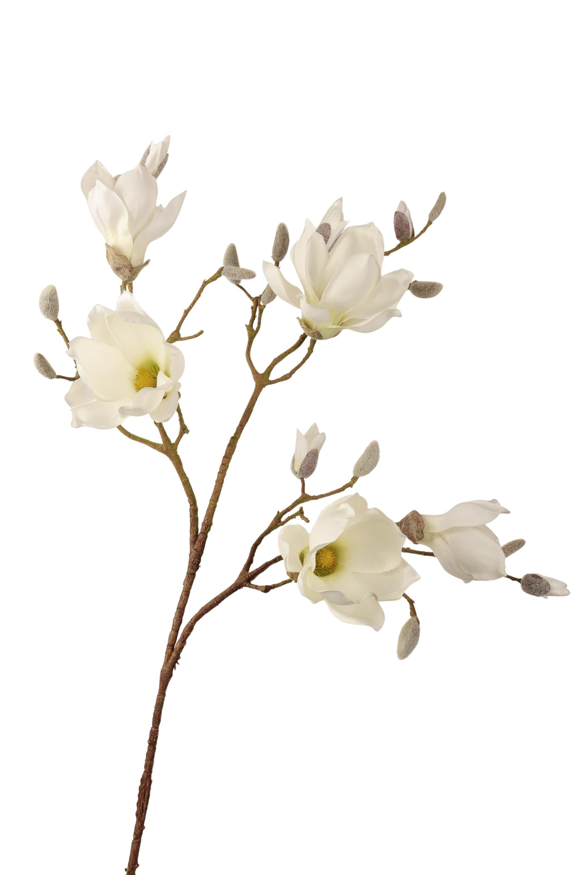 Künstlicher Magnolienzweig aus der Roberts-Kollektion, cremefarben, 96 cm
