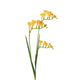 Roberts Collection Kunstblume Freesie gelb 83 cm