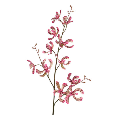 Roberts Collection künstliche Zweigorchidee Vanda grün rosa 106 cm