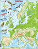 Selecta Larsen Pluzzle Karte Europa - Geografisch mit Tieren, 87st.