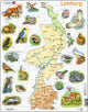 Larsen Limburg mit Tieren – Puzzle – Geographiekarten – Niederlande – Lernpuzzle für Kinder – 60 Teile – hergestellt in Norwegen – extra dicke 2,5 mm Teile – Tablett mit festem Rand