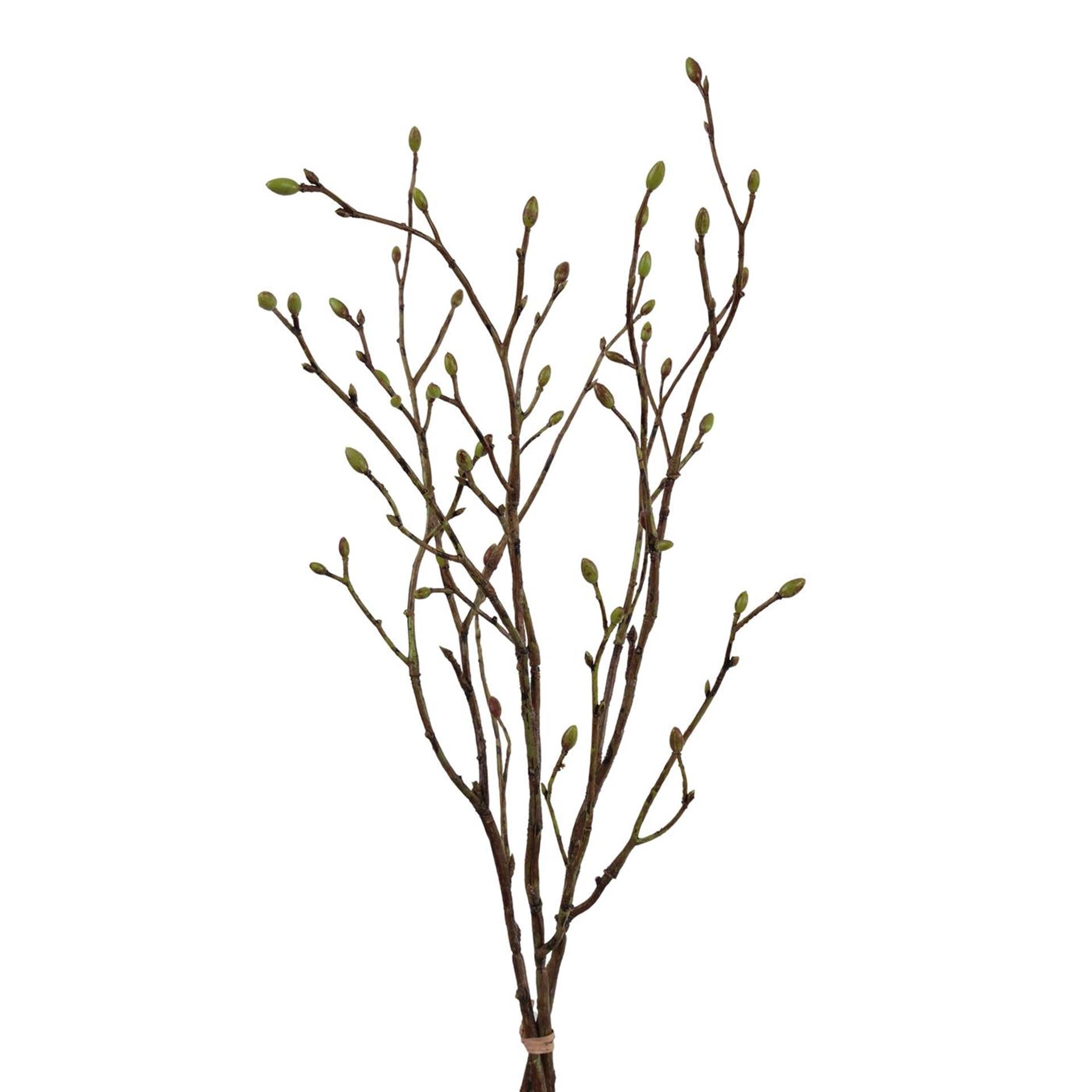 Roberts Collection Kunstzweig Gale Green, 56 cm, 3er-Bündel