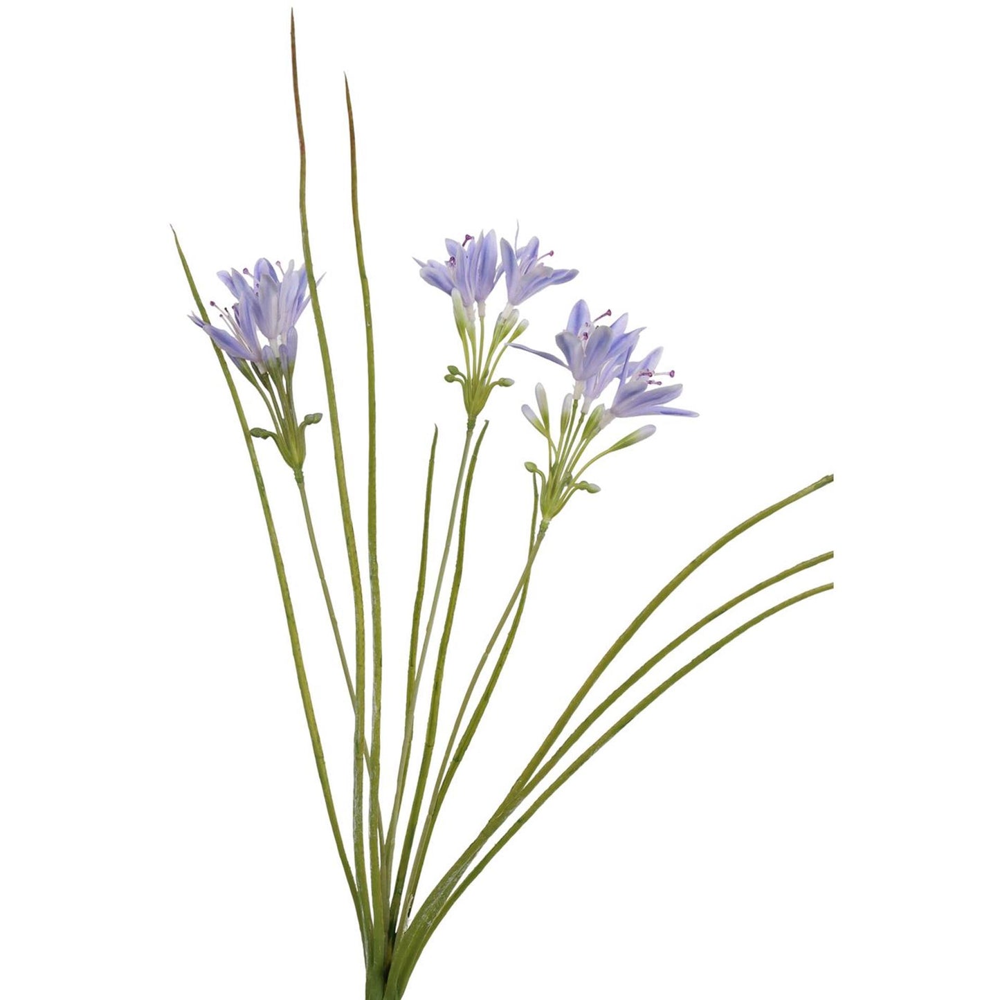 Kunstrasen aus der Roberts-Kollektion mit blauen Blumen, 75 cm
