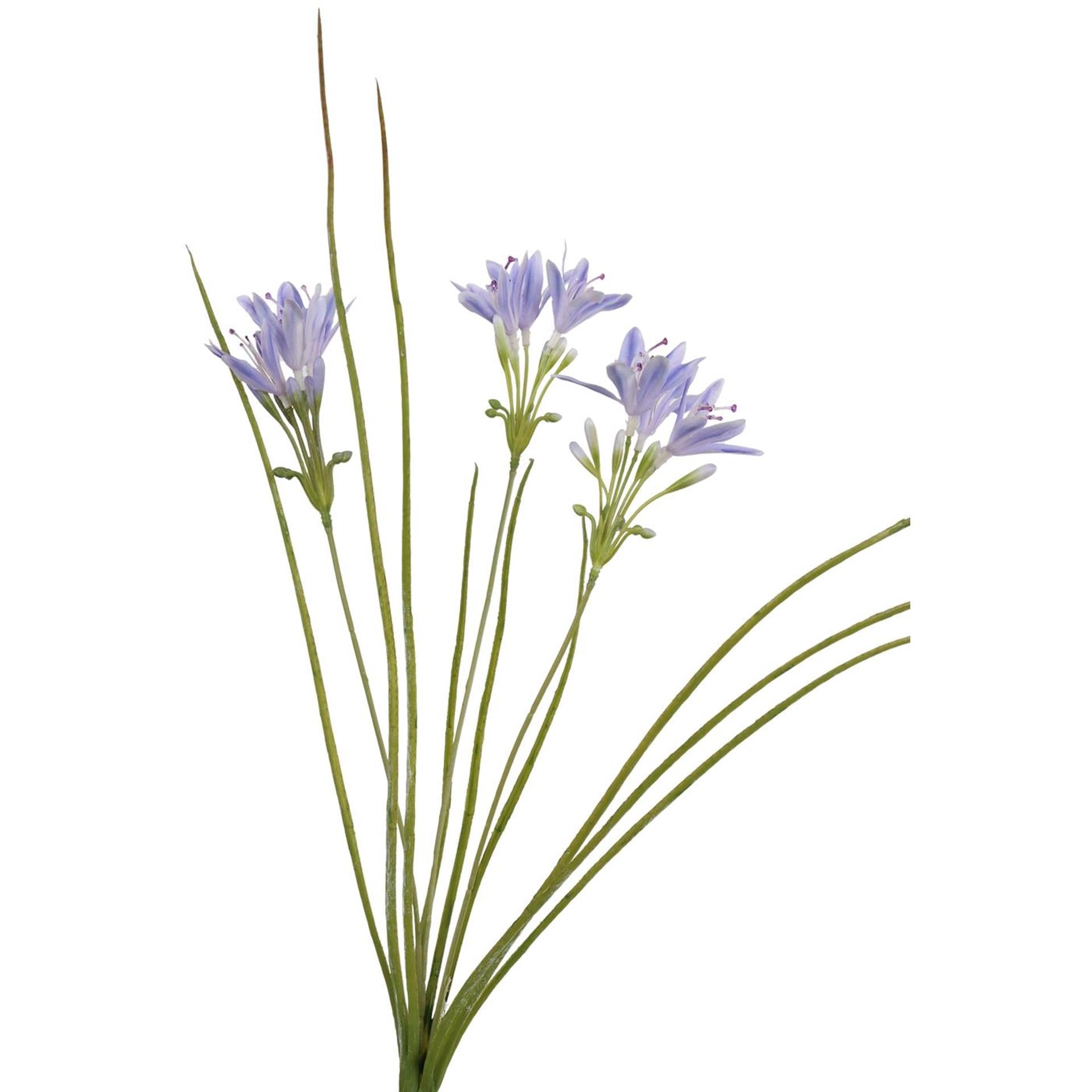 Kunstrasen aus der Roberts-Kollektion mit blauen Blumen, 75 cm