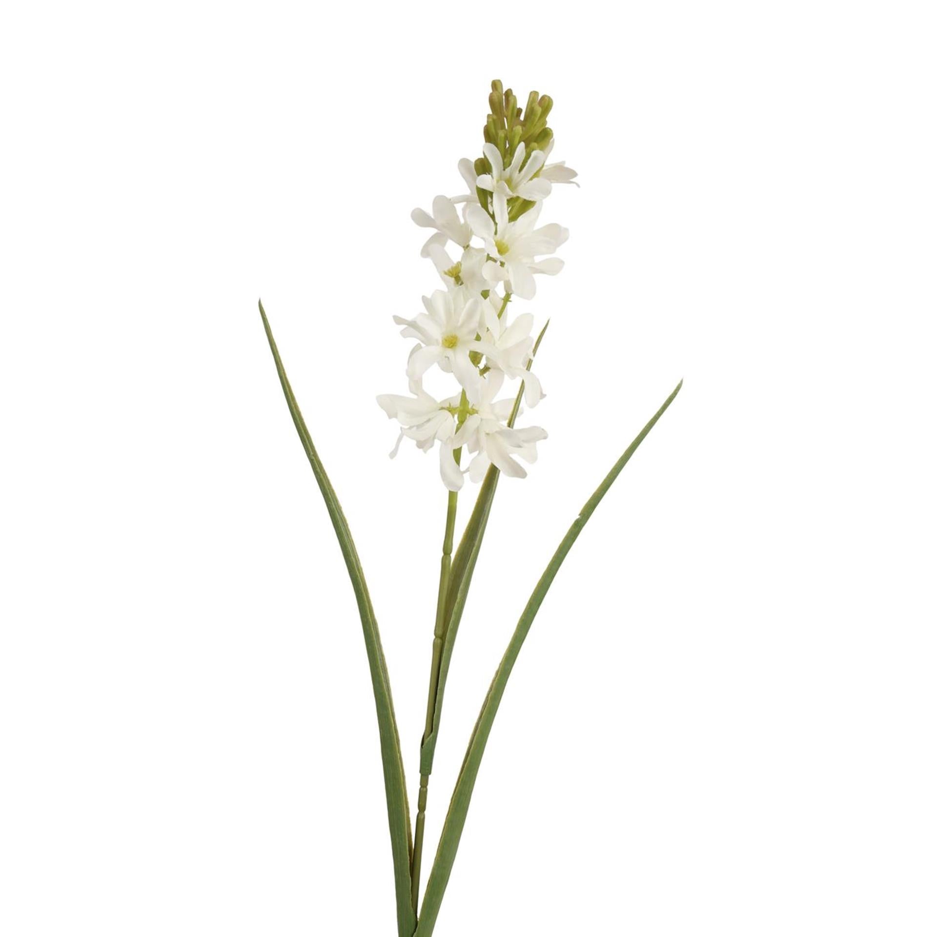 Roberts Collection Kunstblume Hyazinthe mit Gras, cremefarben, 70 cm