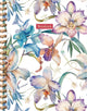 Orchideen-Spiralbuch groß (Linien) Orchideen-Notizbuch Carnet à Spirale (ligné)