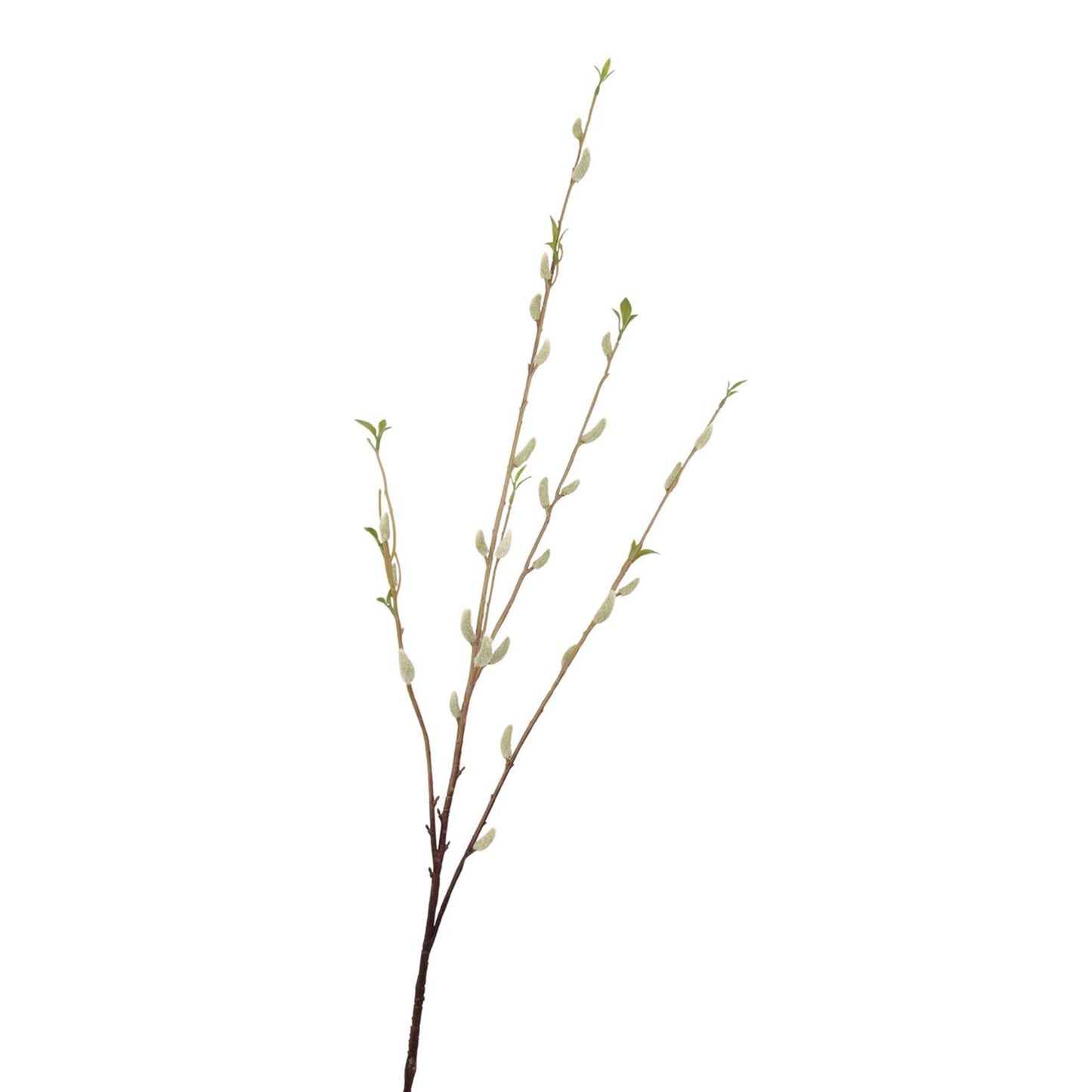 Roberts Collection künstliche Zweigkätzchen, cremefarben, 114 cm