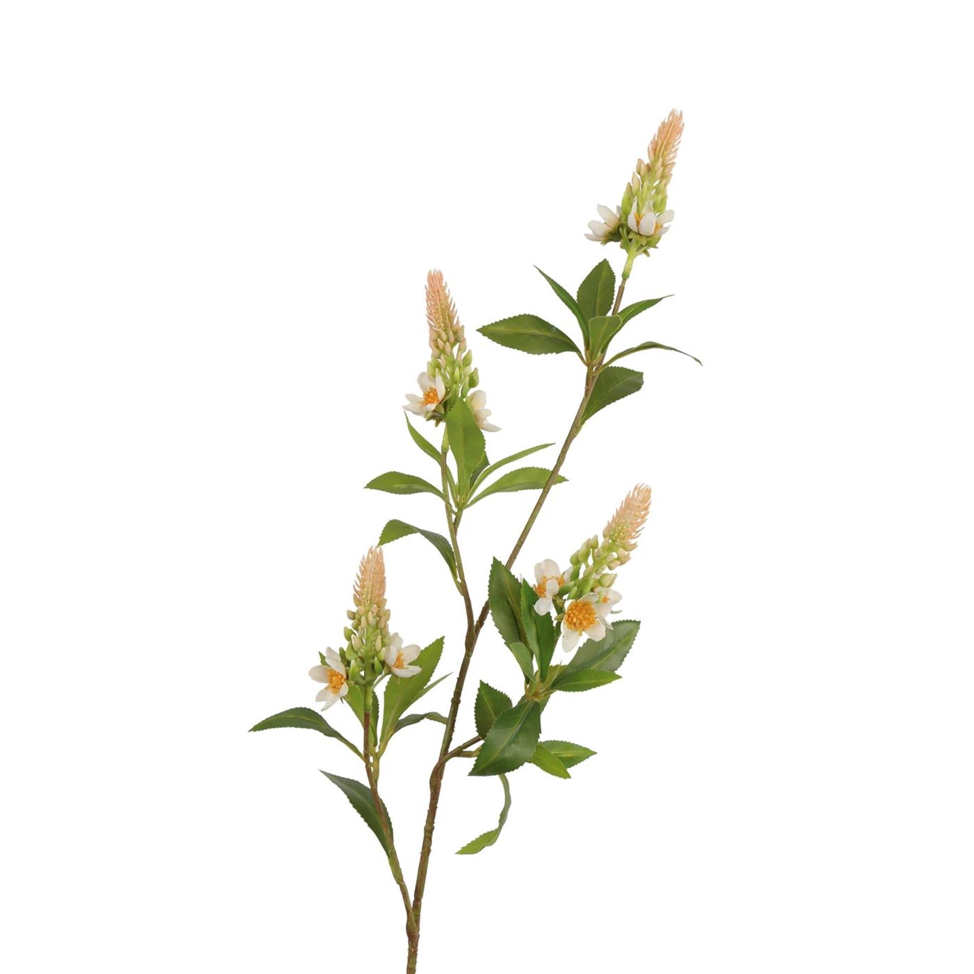 Roberts Collection künstlicher Zweig Pachystachys cremerosa 95 cm