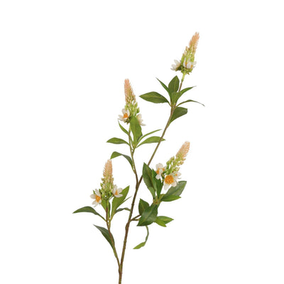 Roberts Collection künstlicher Zweig Pachystachys cremerosa 95 cm