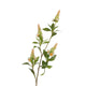 Roberts Collection künstlicher Zweig Pachystachys cremerosa 95 cm
