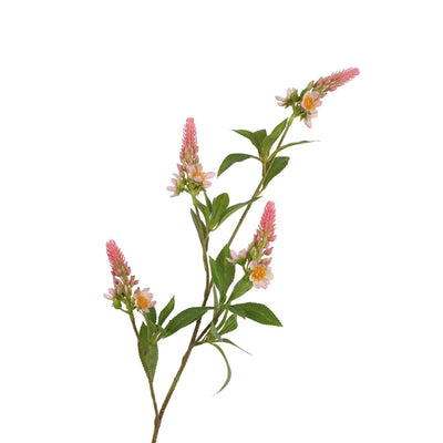 Roberts Collection künstlicher Zweig Pachystachys rosa 95 cm
