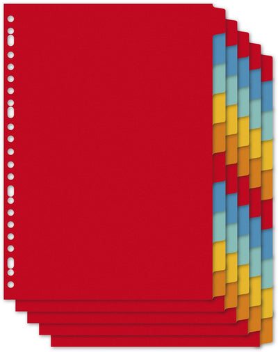 Kangaro-Tabs A4 – 10 Teile – Blanko-Tabs – Karton – schrumpfen auf 5 Sets – pe410m-5