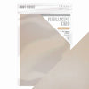 Craft Perfect von Tonic Studios Craft Perfect • Perlglanzkarte A4, 250 g Kaffeecreme, 5 Stück