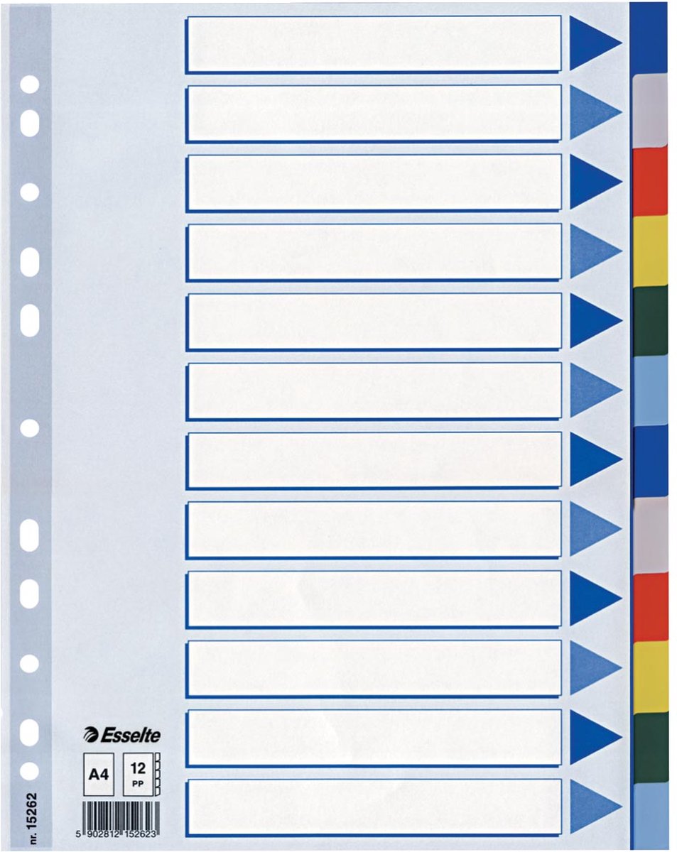 Esselte 10 x Tabs 12 Tabs (15262)