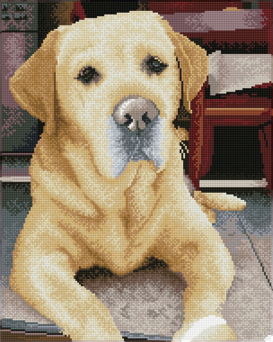 Diamond dotz® Diamantmalerei - Labrador - 48x58 cm - Quadrate