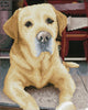 Diamond dotz® Diamantmalerei - Labrador - 48x58 cm - Quadrate