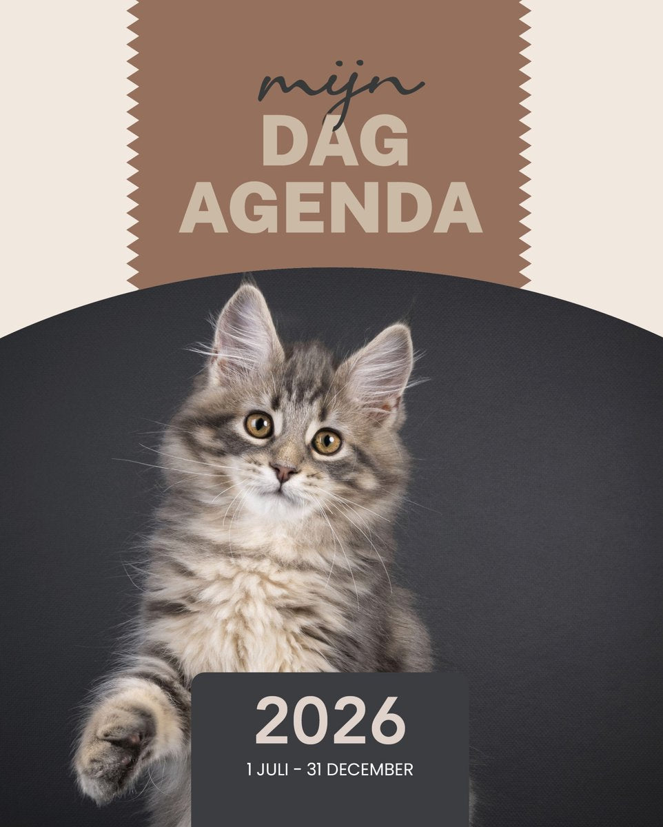 Meine Tagesagenda 2026 2