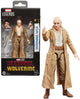 Hasbro Deadpool Wolverine – Cassandra Nova – Figur Legends Serie 15 cm