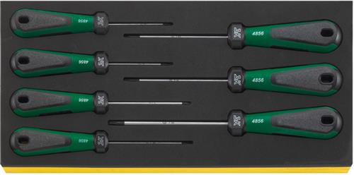 Stahlwille Inlay-Torx-Schraubendreher TCS