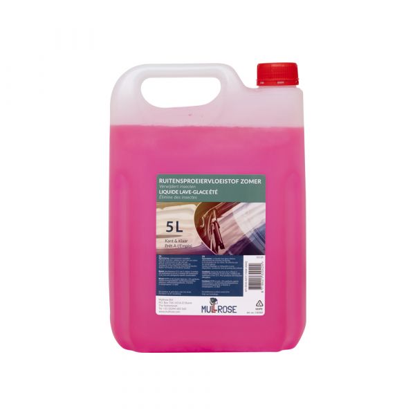 Fenster sauber pink 5 lt
