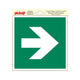 Aufkleber Escaper Route Pfeil gerade - 200x200 mm.