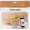 Creativ Company Mini-Hobby-Set Krepppapier, Kirschzweig, Kreppverhältnis: 180 %, 1 Box