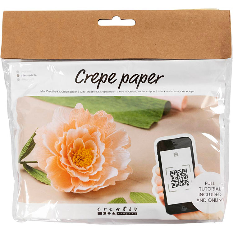 Creativ Company Mini-Hobby-Set Krepppapier, Pfingstrose, Kreppverhältnis: 180 %, 105 g, 1 Box