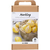 Creativ Company Hobby-Set Marmor, rosa, gelb, 1 Box