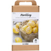 Creativ Company Hobby-Set Marmor, rosa, gelb, 1 Box