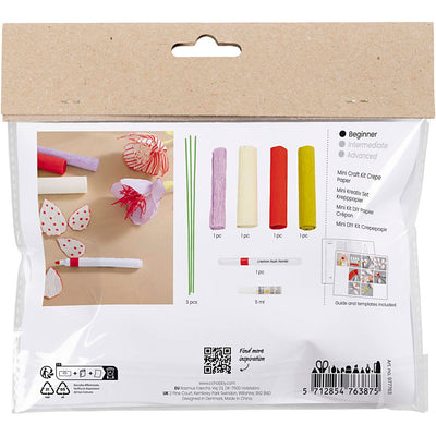 Creativ Company Mini-Hobby-Set Krepppapier, Blumen, Pastellfarben, 1 Box