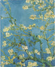 Peter Pauper Notizbuch – Mandelblüte – groß 18,5 x 22,8 cm – liniert