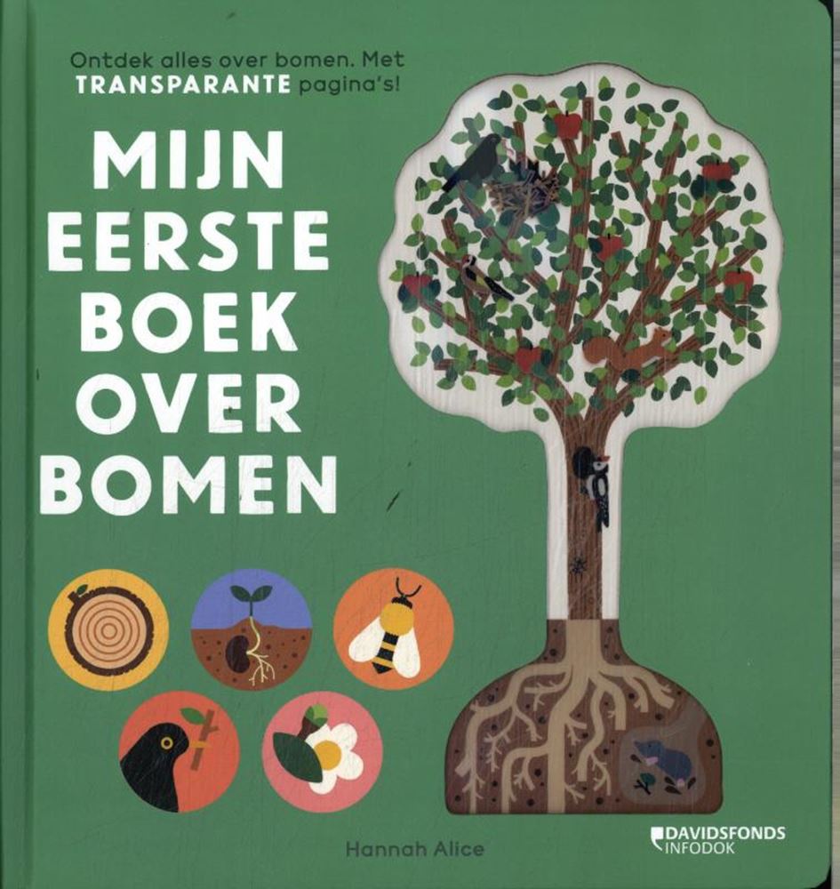 Mein erstes Buch über Bäume 5+