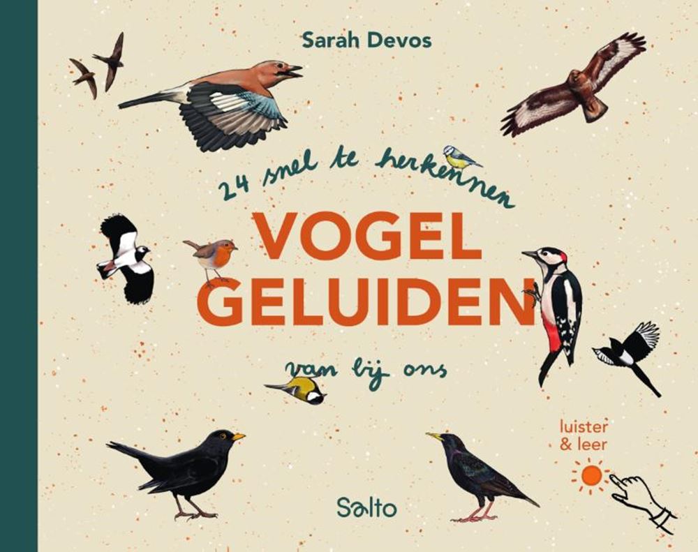 24 schnell erkennbare Vogelstimmen aus b