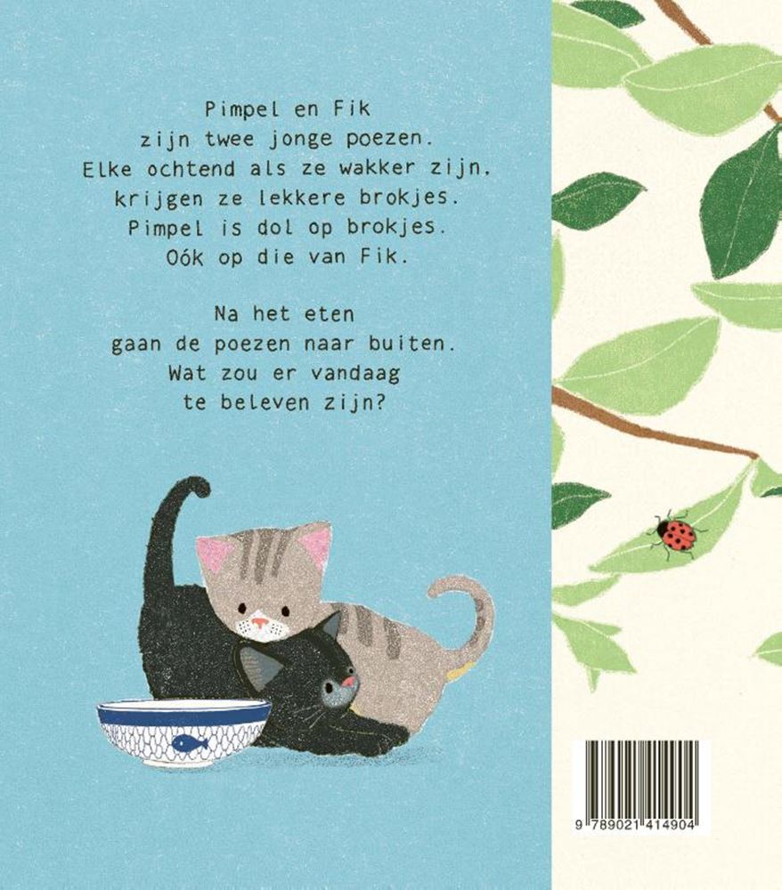 Unordentliche Katzen. Brettbuch. 2+