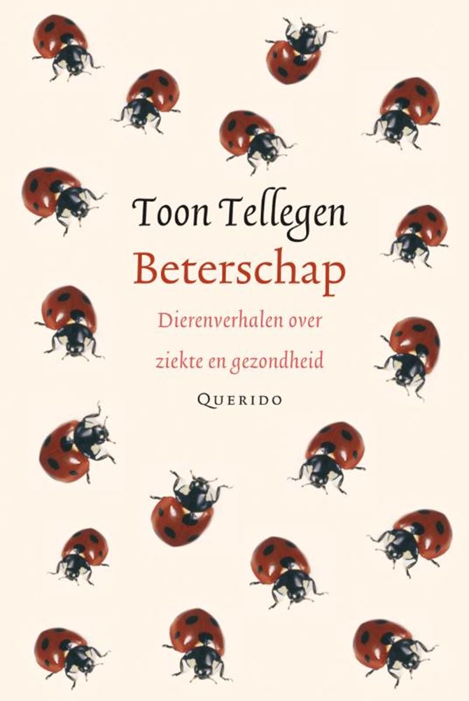 Anzahl anzeigen: Gute Besserung. Geschenkbuch.