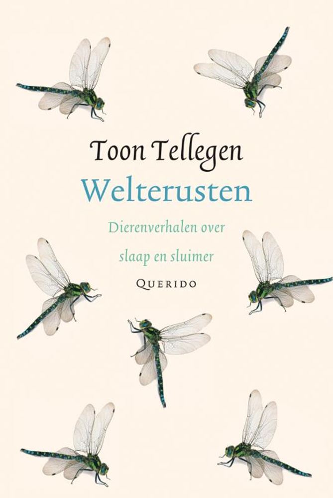Anzahl der Shows: Gute Nacht. Geschenkbuch