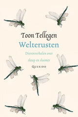 Anzahl der Shows: Gute Nacht. Geschenkbuch - afbeelding 1