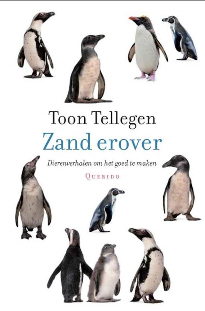 Show Counts: Sand drüber. Geschenkbuch