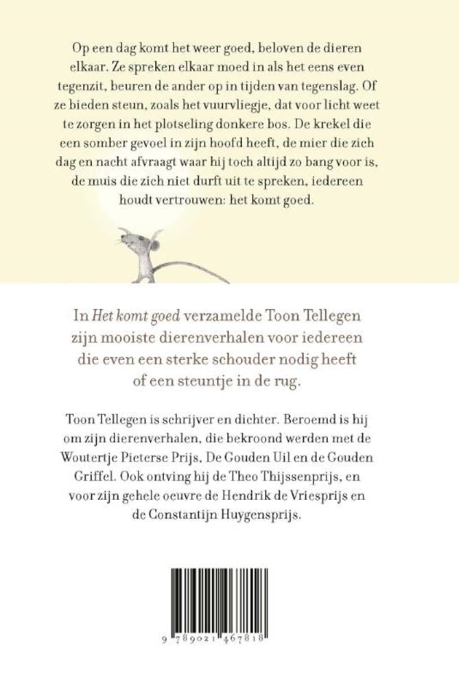 Showtellegen: Es wird gut. Geschenkbuch