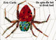 Die Spinne, die zu beschäftigt war. 3+