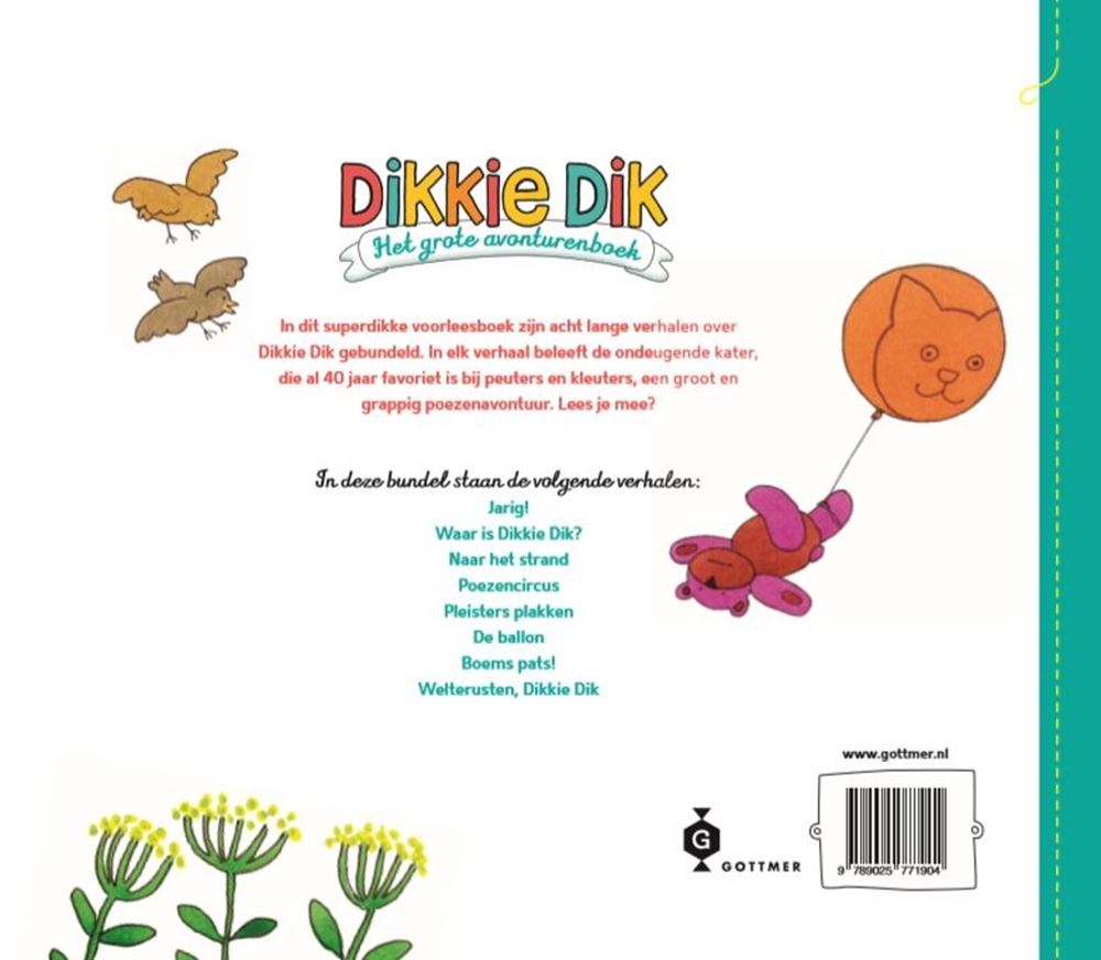 Central Book House Dikkie Dik – das große Abenteuerbuch
