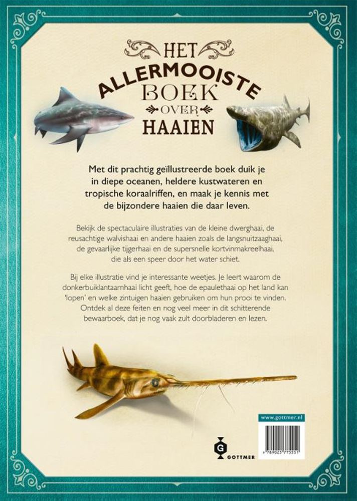 Das schönste Buch über Haie.