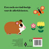Gottmer Verlagsgruppe Katze, wo bist du?