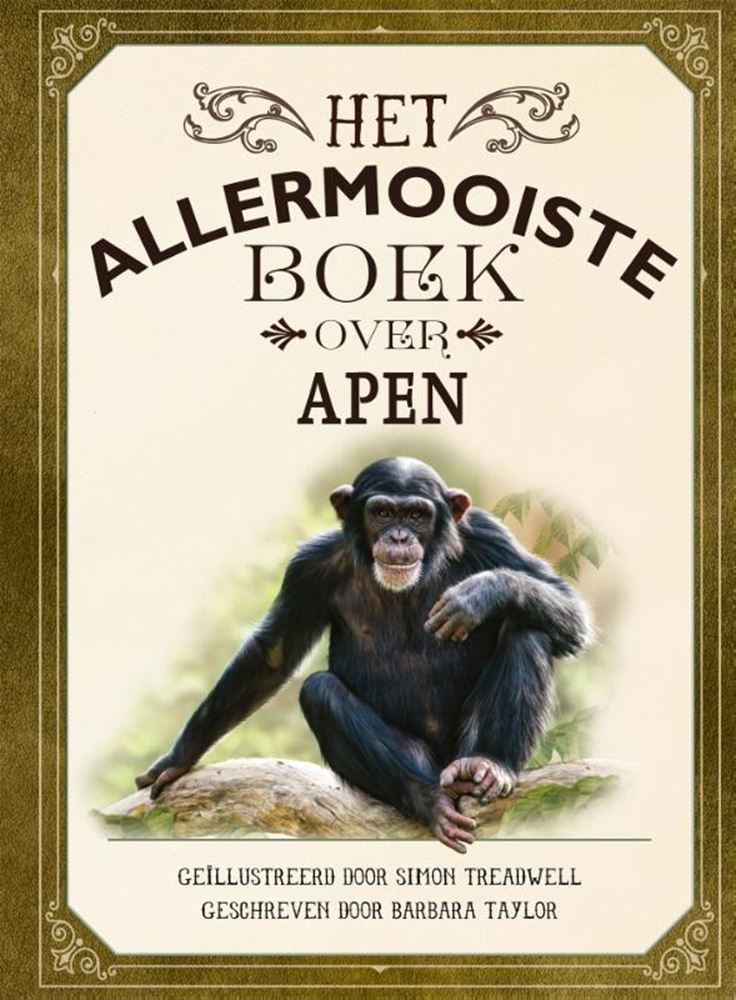 Das schönste Buch über Affen ab 8 Jahren