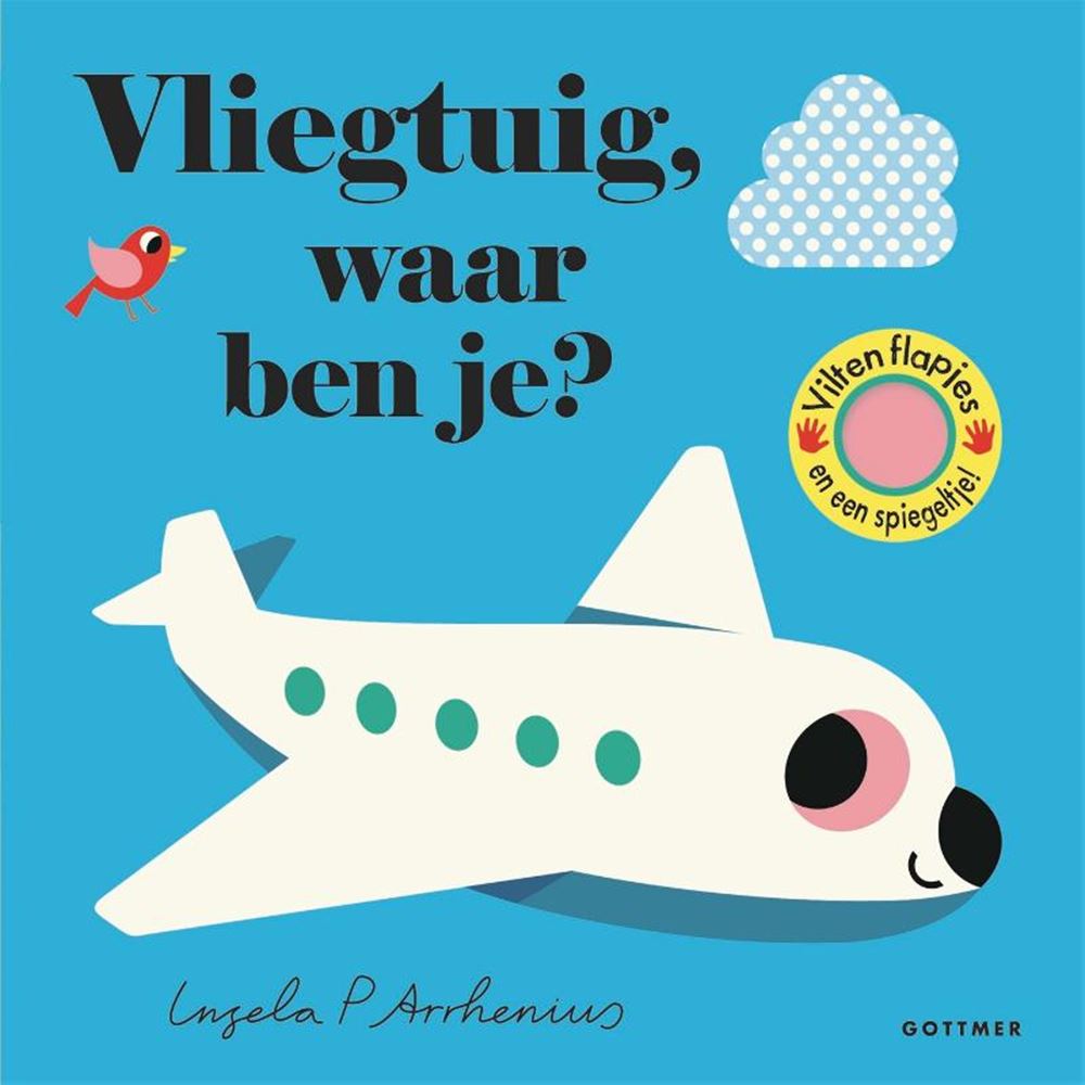 Flugzeug der Gottmer-Verlagsgruppe, wo bist du?